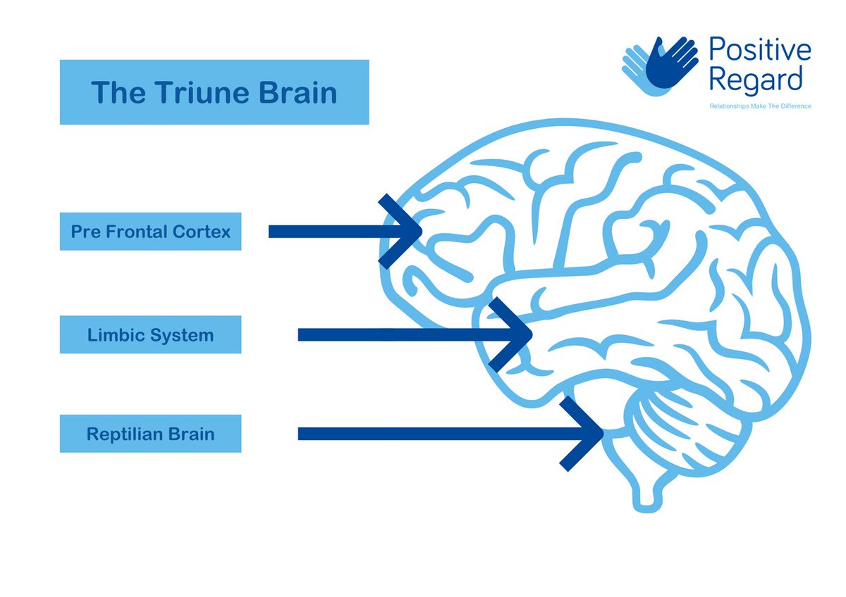 Positive Regard tweet media