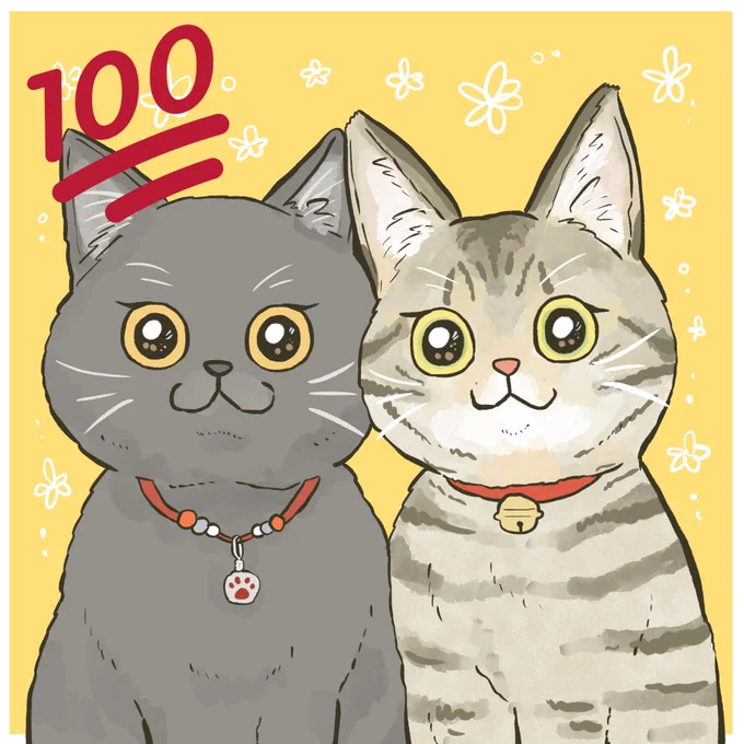 最近猫ちゃんの似顔絵アイコンオーダーが多くて嬉しいです(*'-`*)癒される #cat #猫 #猫好きな人と繋がりたい 
