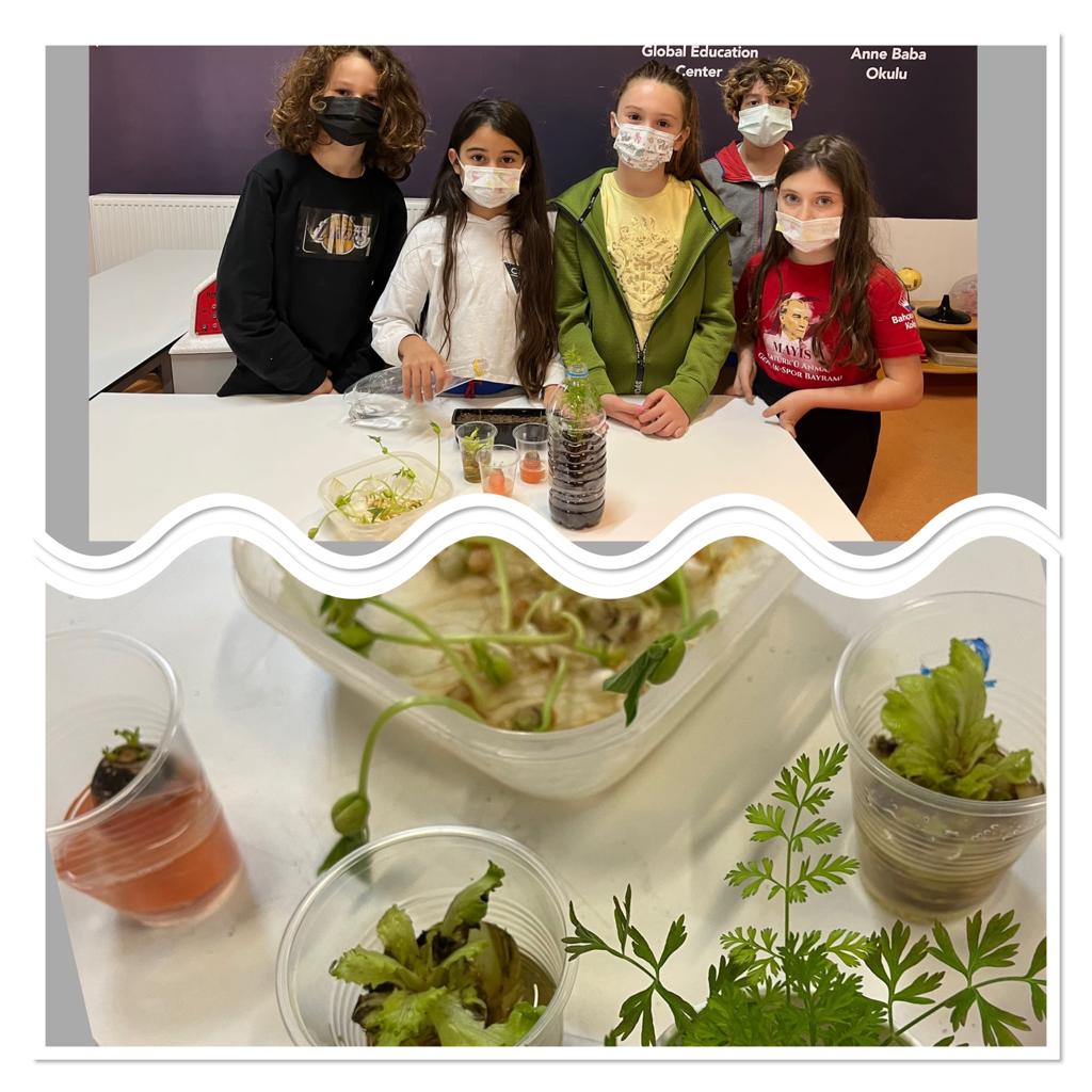 Bahcesehir_Sam's tweet image. 4. Sınıf öğrencilerimiz STEM JUNIOR &quot;YEŞİL DÜNYAMIZ&quot; teması kapsamında Mars&apos;ta bitki yetiştirme alanı üzerine çalışarak projelerini tamamladılar. 
#STEMJUNIOR #STEMGELECEKTİR #STEMjunıorFair @ErkenCocukluk @SencerCorlu @benaykaragz @cuneytd1