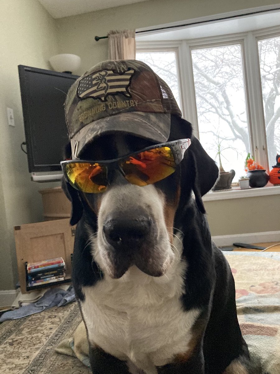 BryanFoleyTV's tweet photo. @KateMerrill @LiamWBZ @zackgreenwx Stanley will have none of that…. Wait a minute. Does this count?!#SorryStan #BlameSean https://t.co/IEq8zbiNby
