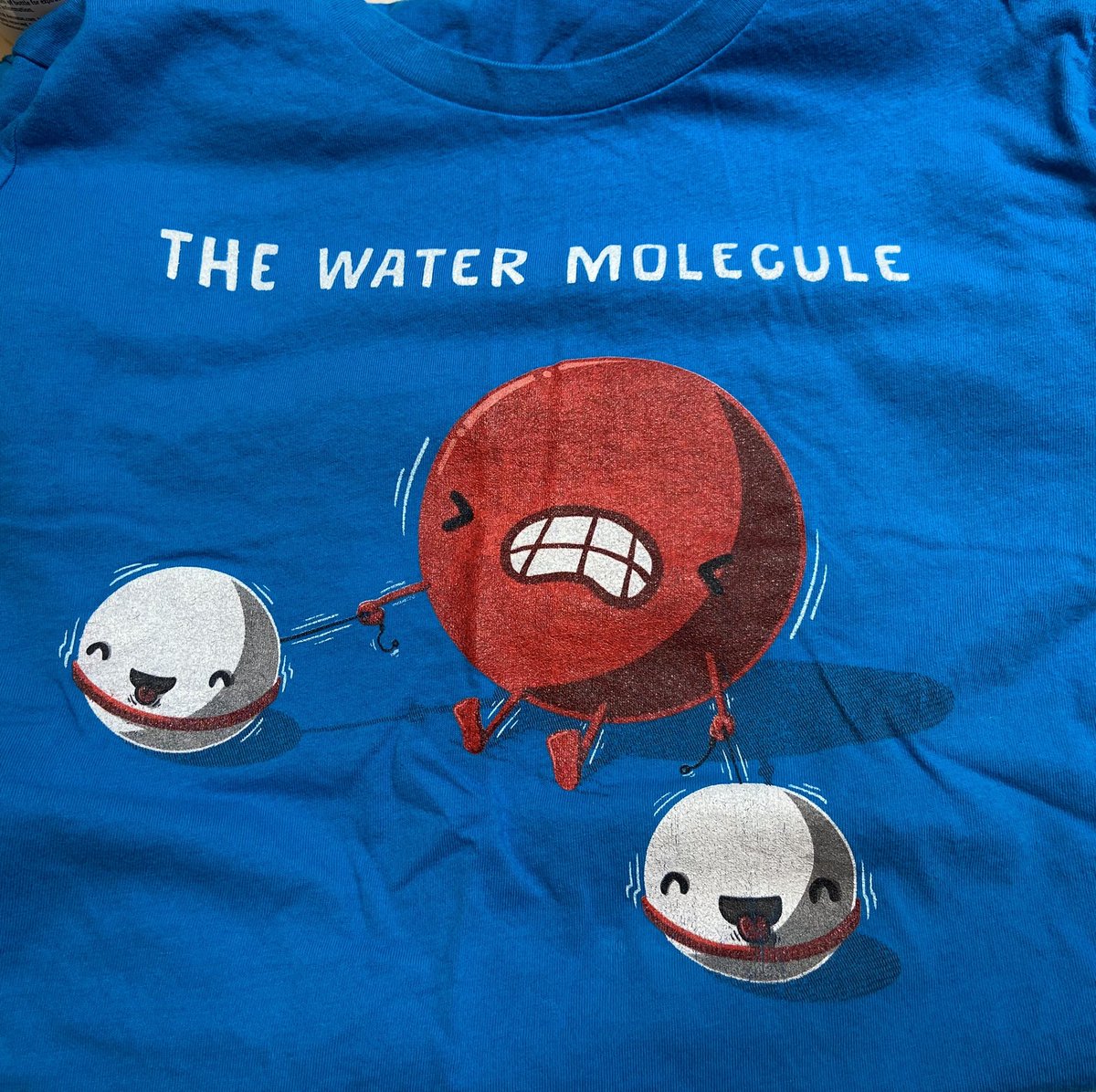 ashley_green2's tweet photo. #NerdyTShirtFriday We made it to Friday and one of my colleagues bought me a new coffee mug 💜 A little tired from chaperoning the ski trip last night ⛷🎿 #Polarity #Water #HBonds #Electronegativity #Bonding #Intermolecularforces https://t.co/OMQzxfTTpx