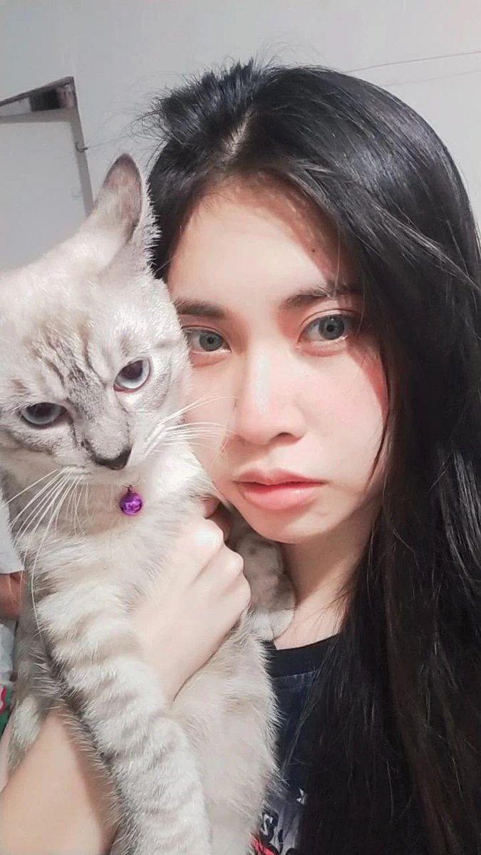 Aiimnikki's tweet photo. Late upload😅
So cute my Fury🐈😻
#CatsOfTwitter https://t.co/wXrwFPR6dW