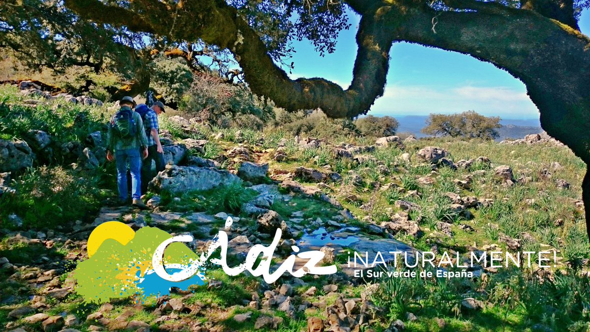 ¡La <a href="/diputacioncadiz/">Diputación de Cádiz</a> apoya el documental ‘Cádiz natürlich!’ para desestacionalizar el turismo! La <a href="/AETCadiz/">AETC</a> impulsa esta película destinada a atraer visitantes de habla alemana en el invierno 😃 Noticia: dipucadiz.es/patronatoturis… Documental: youtube.com/watch?v=CVMO4q… <a href="/josemariaromang/">José María Román, Chiclana</a>