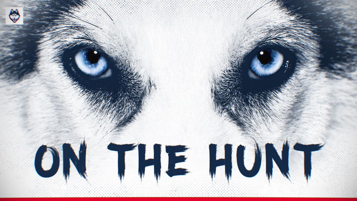 Gordie Sammis tweet media