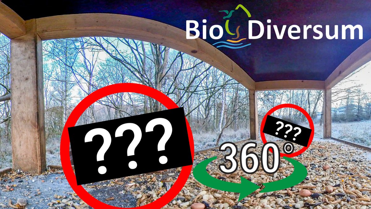 We placed a 360° camera 🎥 in our biotope’s #BirdFeeding station! Feel free to try it out by rotating 🔄 the image as you like and be up close with the various #birds 🐦 feeding. Can you also discover our very #SpecialVisitor?👀🐾 #MPI_BioDiversum #biotope
youtube.com/watch?v=0-0Ap0…