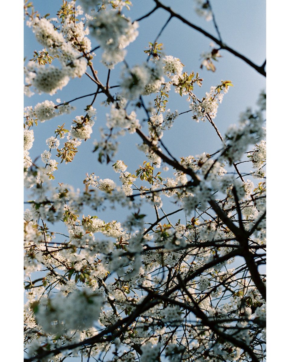 Nico Utuk tweet media