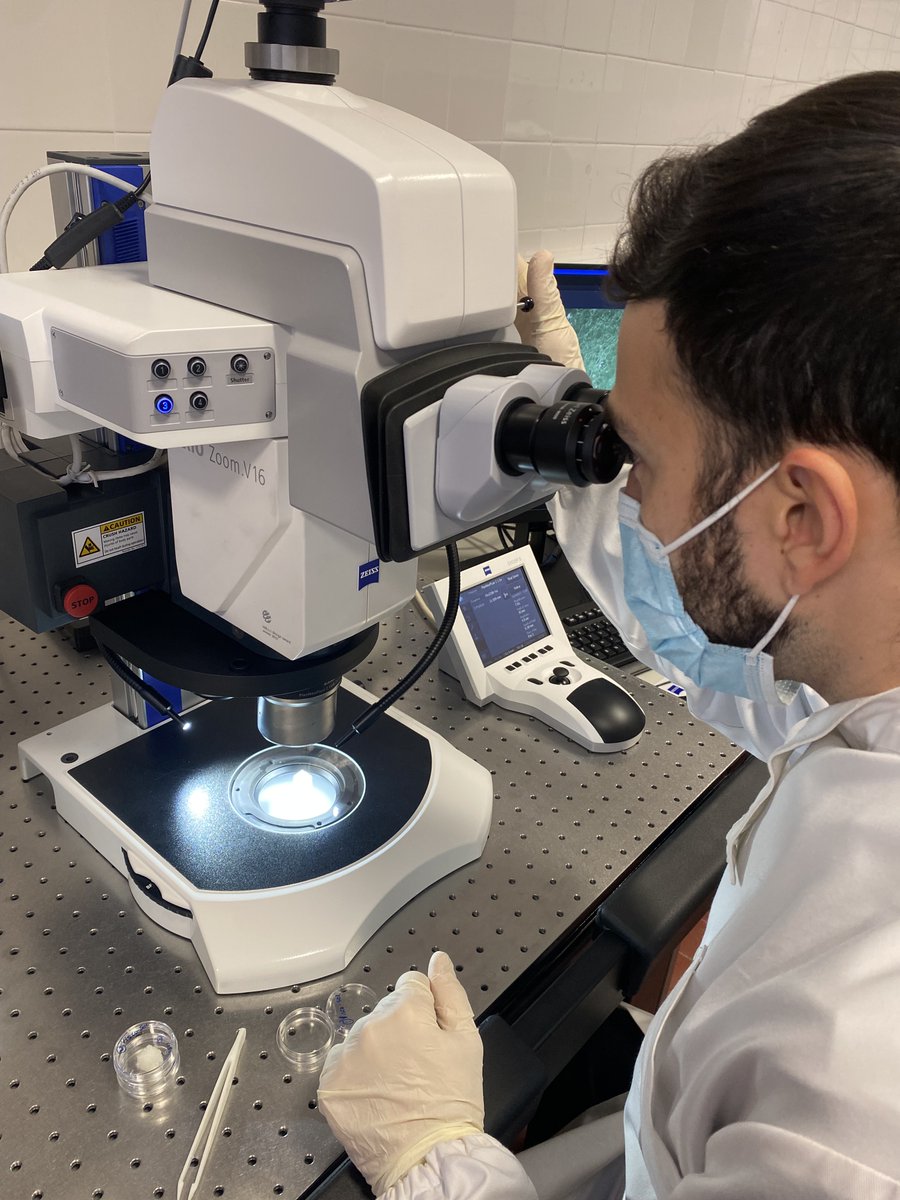 greenprojectpt's tweet photo. Having fun through the challenges of breakthrough innovation in biosensors. So exciting to see blue plasma forming inside the chamber @dienerelectronic and observations in our AXIO zoom V16 @zeiss_micro #greenenergy #microalgae #bioelectronics #bioelectric https://t.co/Gp5fhVzrVJ