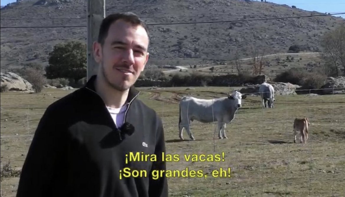 Pantomima Full (@pantomima_full) on Twitter photo 