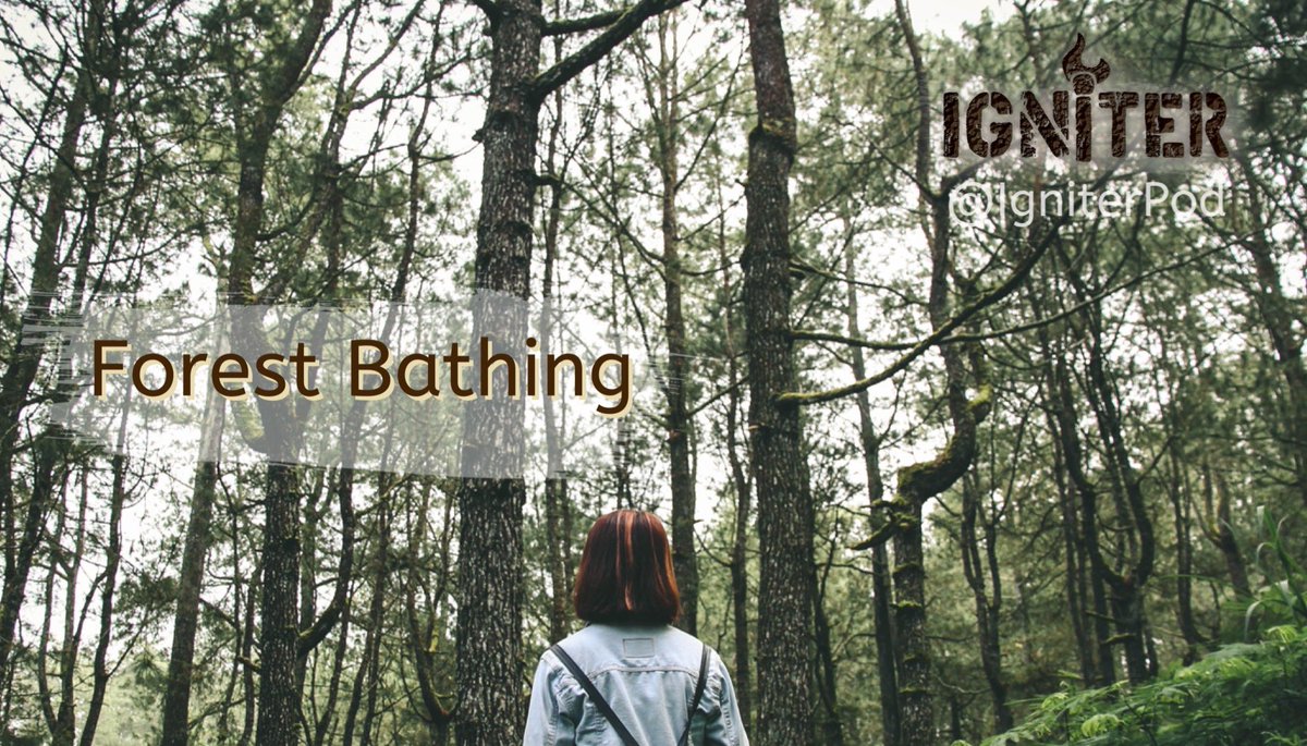 Shinrin-Yoku is as natural as a medicine can get. Rob introduced this idea to Mark recently and, in this episode, they dive a little deeper into the practice. anchor.fm/igniterpod/epi…