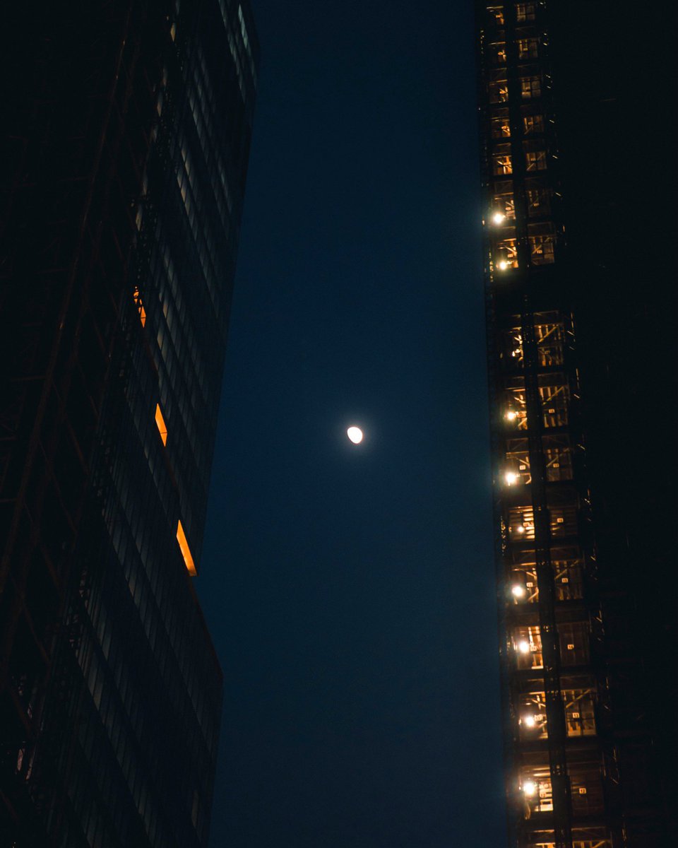 Windows of New York.