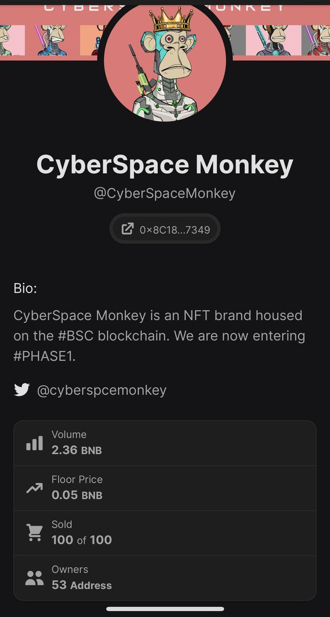 CyberSpceMonkey's tweet photo. We are now at 0.05 BNB Floor Price.Just wow🚀 https://t.co/uF4dcOd43B