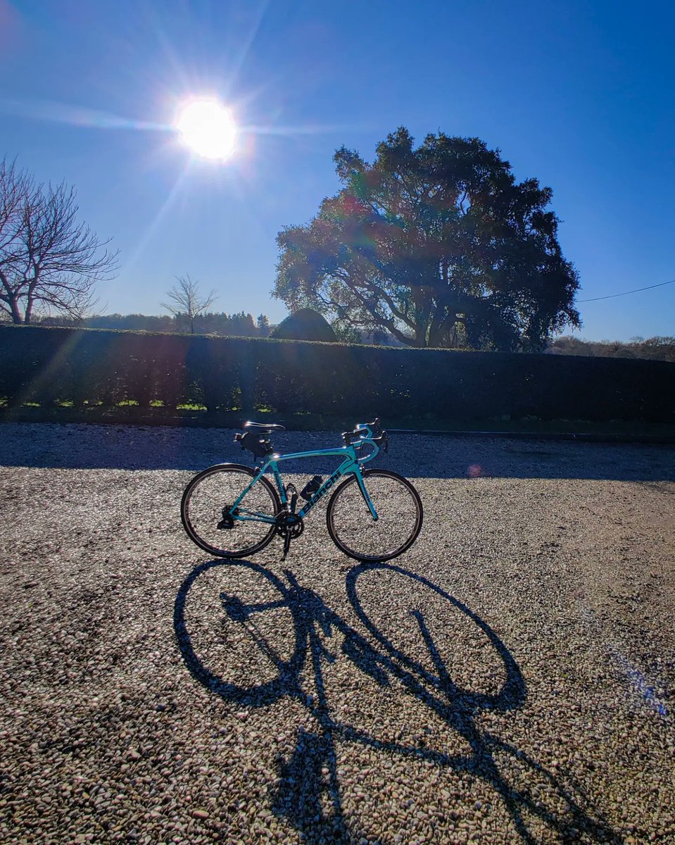 ChristinaDove7's tweet image. Beautiful morning for a gentle ride to West Stoke for coffee
.
Happy Friday all, gateway to the weekend!
.
#merceractive #aatr #ukcyclechat #bianchi #shadowstand #wellbeing