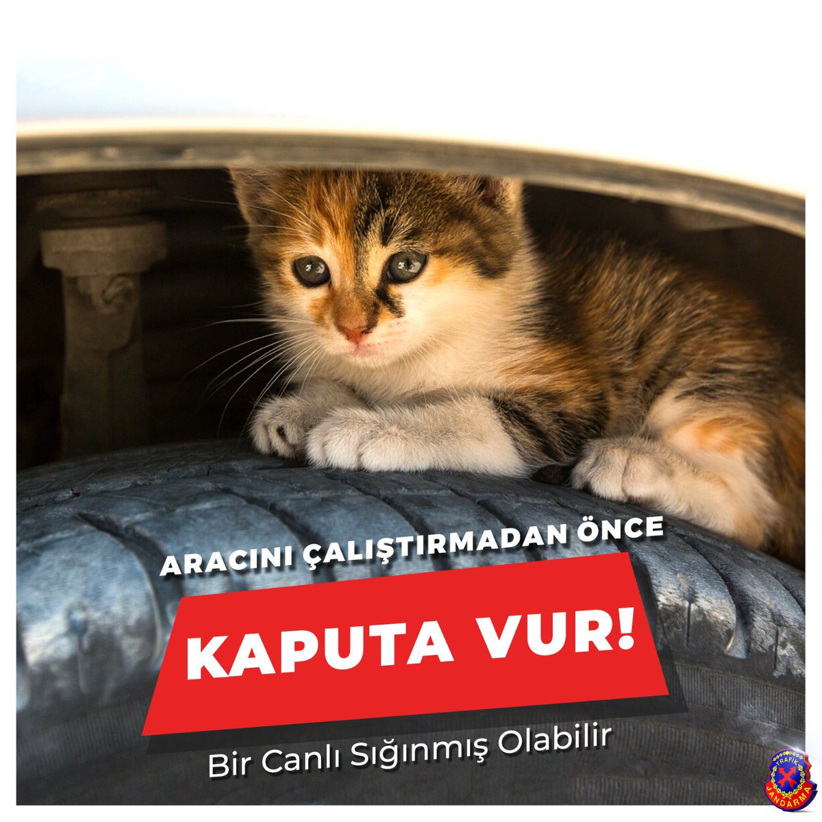 Değerli Sürücüler❗

Havaların soğuduğu bugünlerde ısınmak amacıyla aracınızın herhangi bir yerini kullanan sevimli dostlarımızın zarar görmemesi için lütfen birkaç saniyenizi ayırın ve aracınızı çalıştırmadan önce gerekli kontrolleri yapın.🐈🐕
#JandarmaTrafik
#KaputaVur