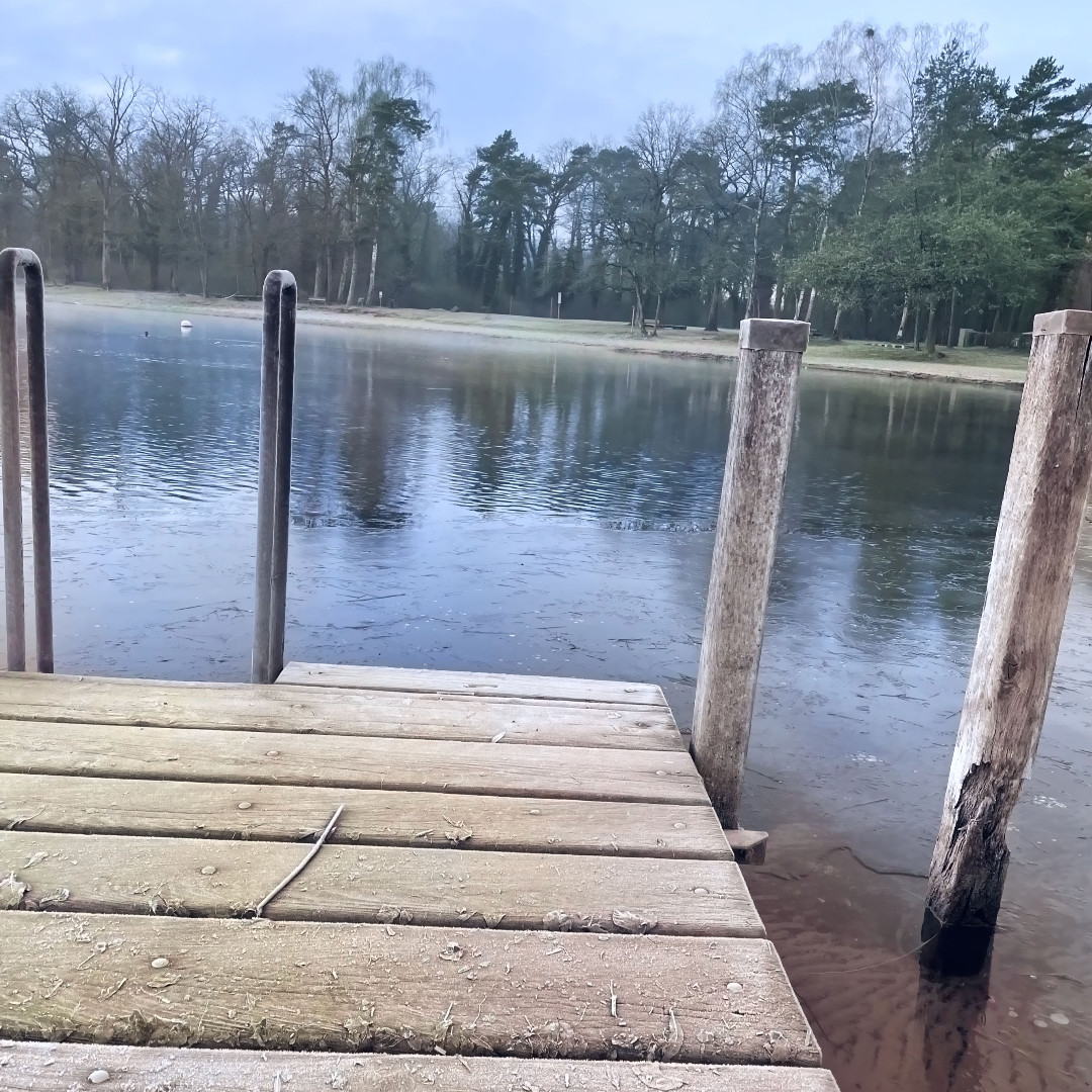 VullylesLacs's tweet photo. Magnifique décor hivernal sur les bords du lac de Morat à Salavaux. https://t.co/gYoF35PfVC