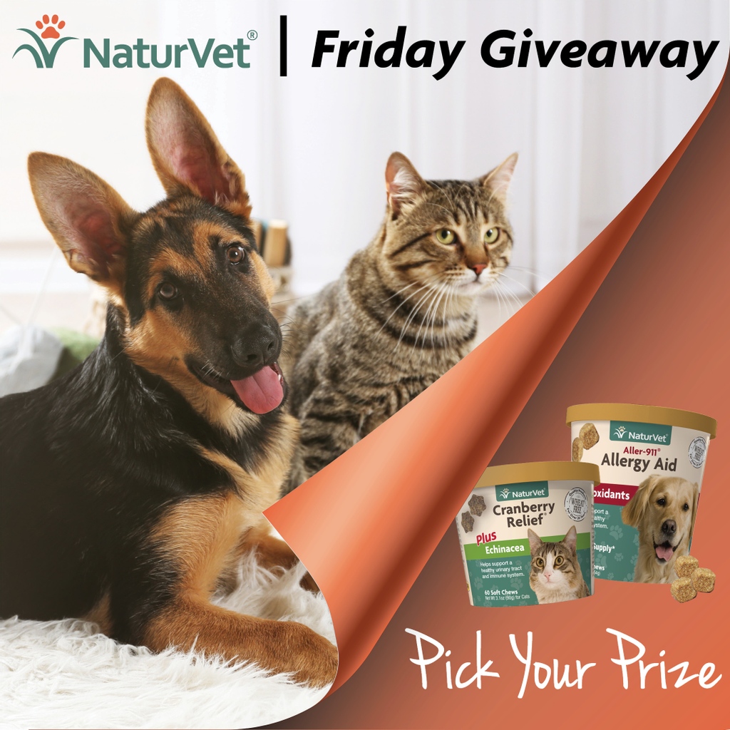 It's time for our first #FRIDAYGIVEAWAY of #2022!!! 🐶🐱

❤️ &amp; RT for your chance to win the NaturVet product of your choice!

Winner announced 1/17! Enjoy the weekend with your pet pals! 🐾
#NaturVet #forthehealthofyourpet

naturvet.com

#dogs #cats #giveaway #freebie