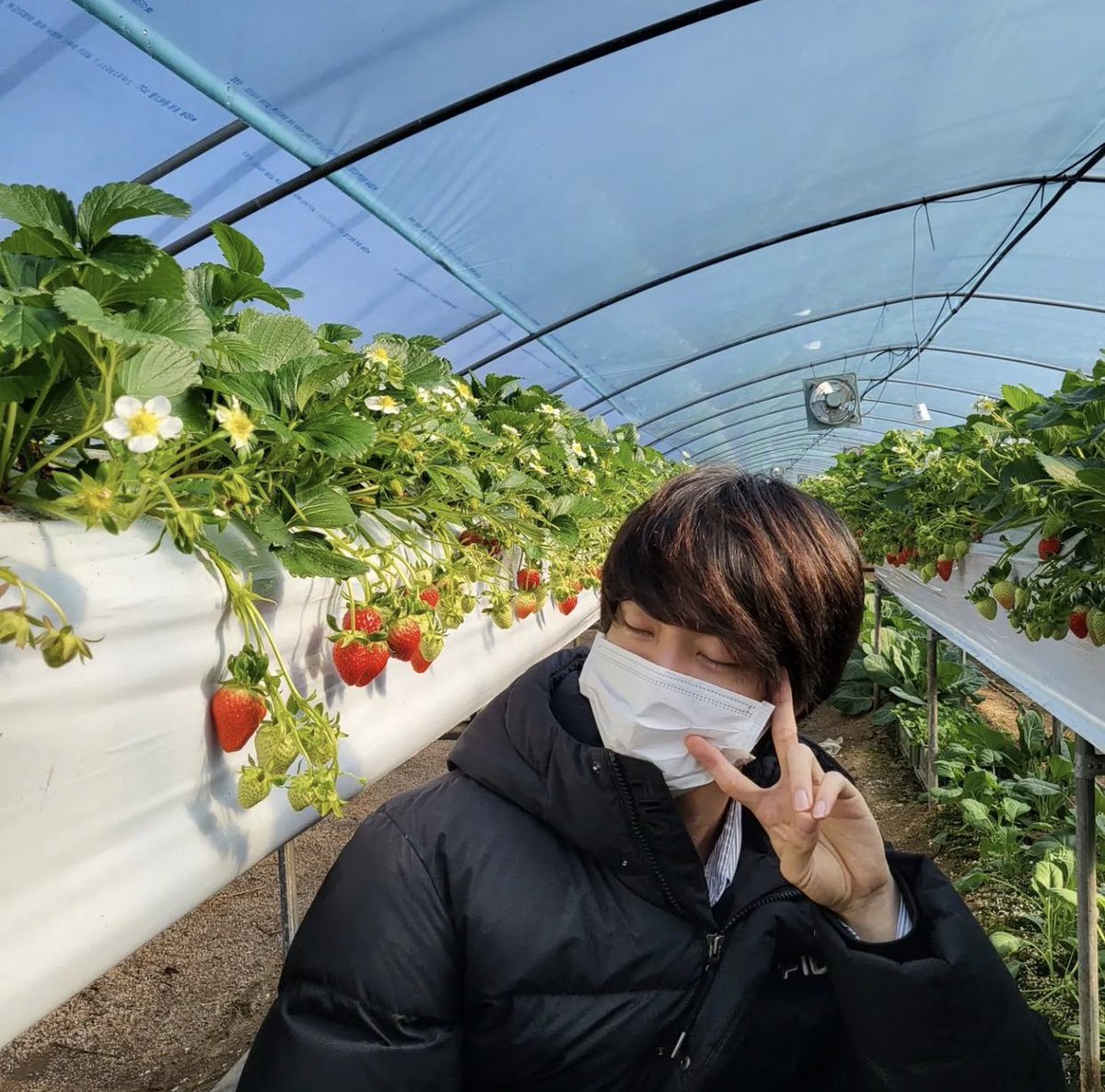 OT7COMFORT's tweet image. jin exists: a

me: 💗💓💞💕💘💖