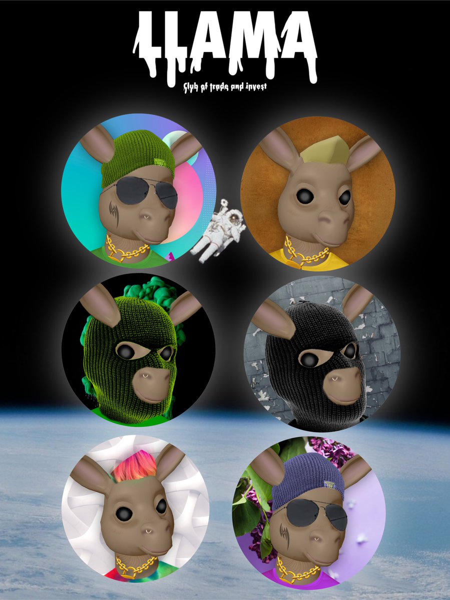 Bored Llama Club tweet media