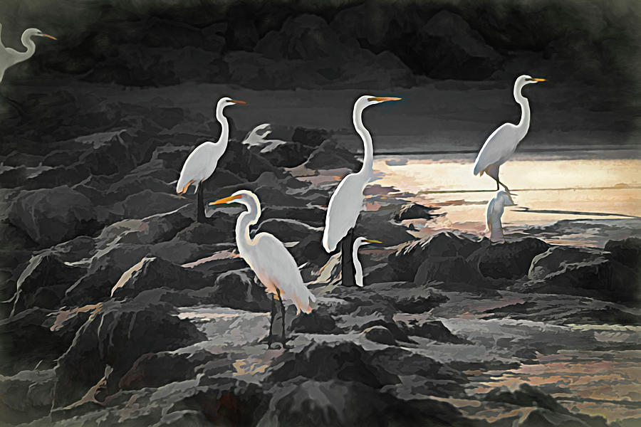 DebraMartz's tweet photo. “Look This Way" by Debra Martz
#Pixels
https://t.co/YiqjYIqOnb
#Five Great #Egrets and one Snowy Egret looking south with one #stubborn Great Egret looking north. LOL
#buyartnotcandy #buyart #lookthisway
#wallartforsale and so much more https://t.co/p6dYEcBRhw