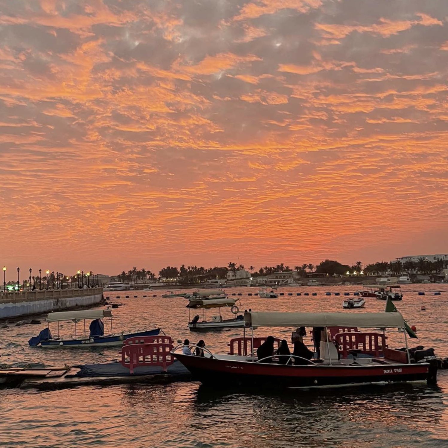 ���� ���� ������ �� ���� ������