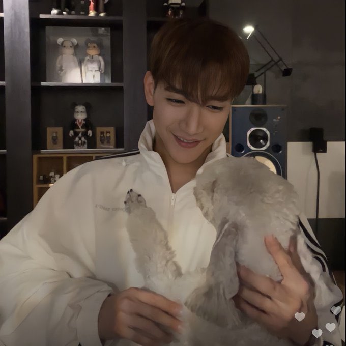 shy_dol_i's tweet photo. #민준이가_있어_다정한_겨울
농도는피프티피프티다
#GeniusJun_KDay
결국그걸내가라이브로들엇다
#민준이가_있어_다정한_겨울
민준이생일이지만내생일같애 https://t.co/ivmkKeDnNN