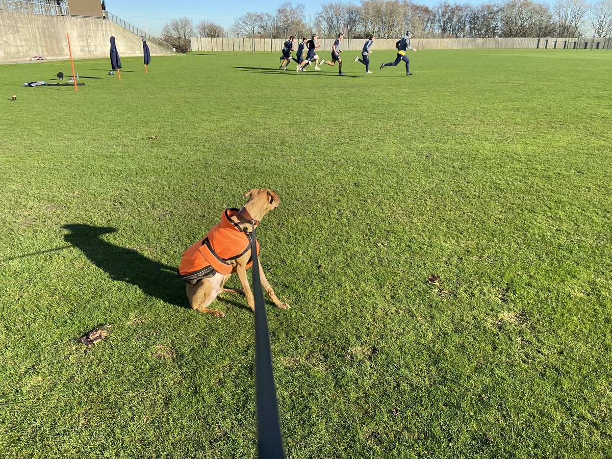 TheCaulfieldWay's tweet photo. They were pleased to see him
He was pleased to see them
I was pleased to see them
They were pleased to see me (I hope)
It was all very pleasing
Did his bit #preseason #whatluck https://t.co/AanZ3IdnHZ