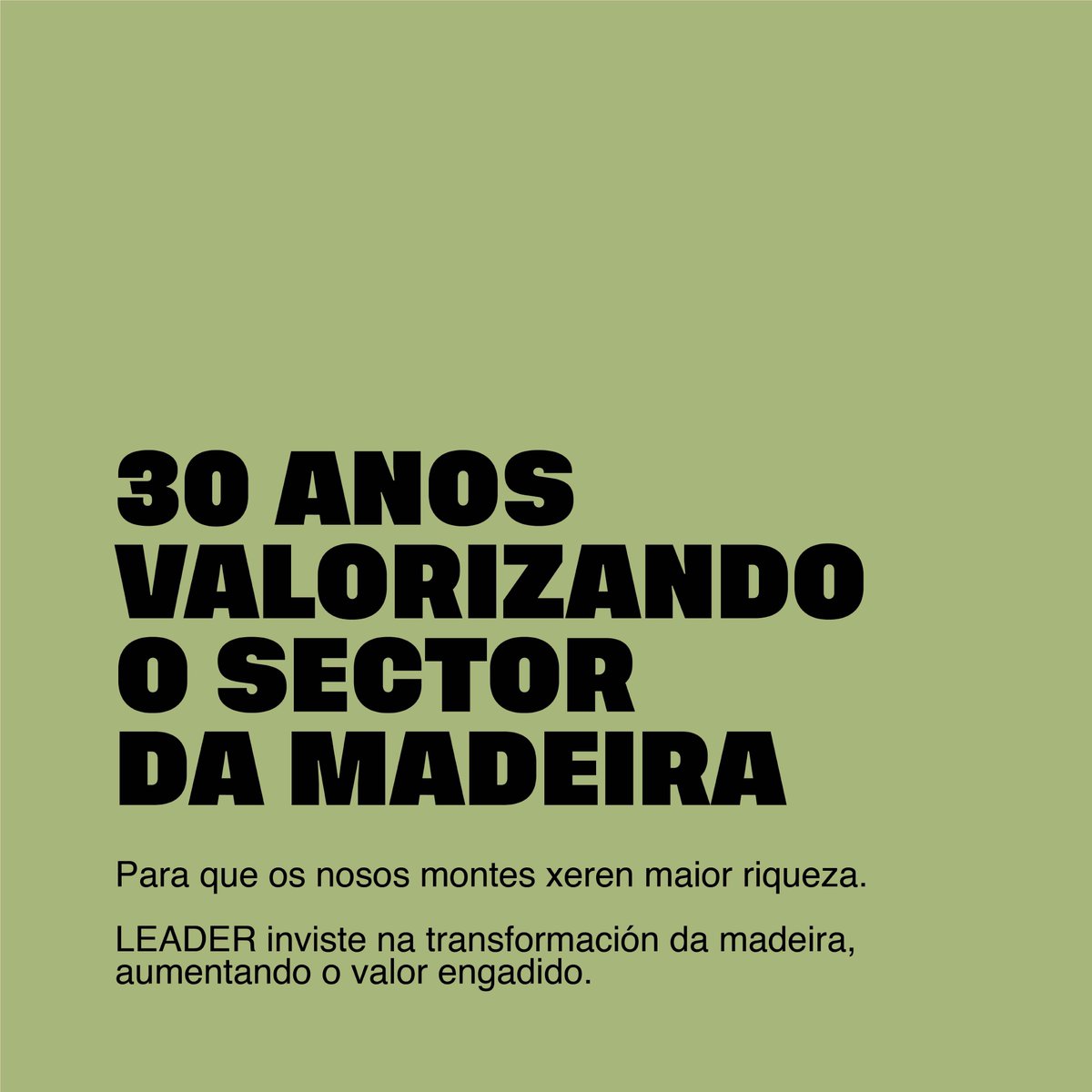 gdrsdegalicia's tweet photo. 🪵 O #programaLeader leva 30 anos poñendo en valor o sector da madeira, para que os nosos montes xeren maior riqueza. 💪
#gdr #rural #LEADER #30anosLEADER #MedioRural #Agader #madeira #Galicia https://t.co/YsUWZdHVd9