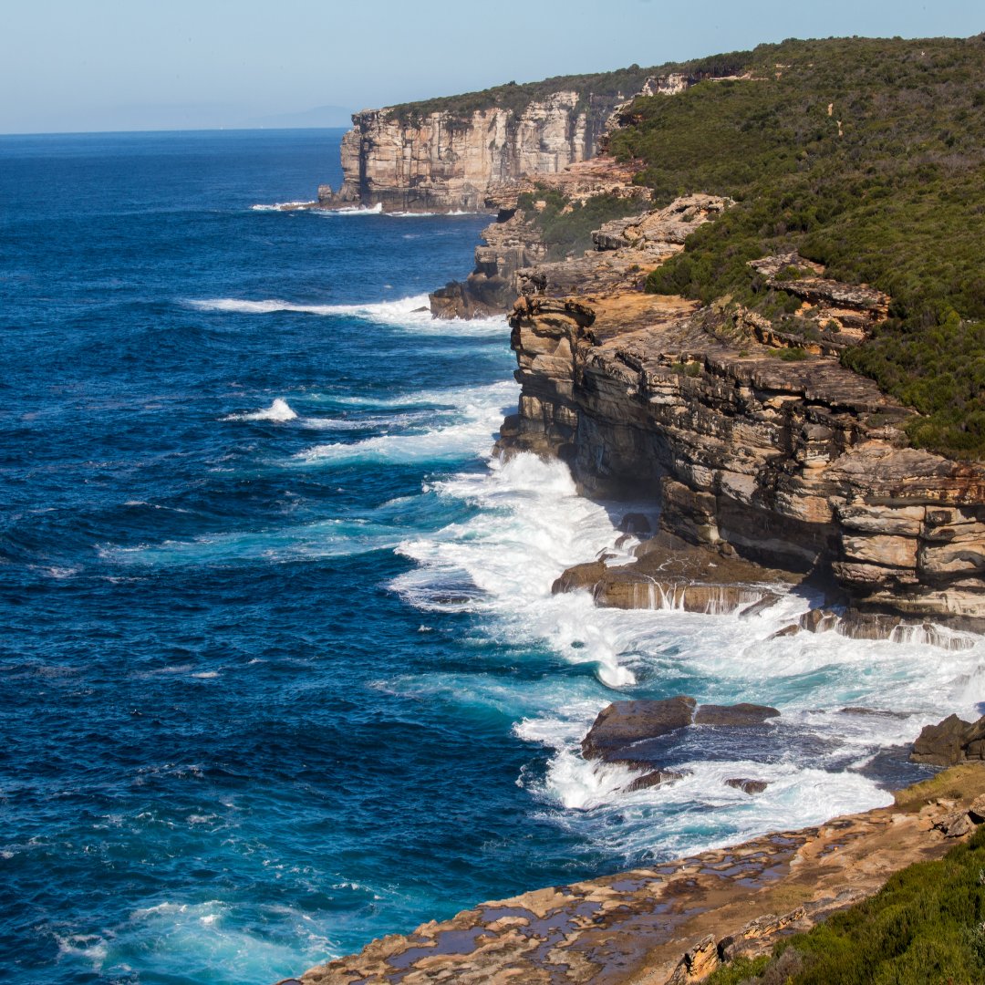 PartsAutofit's tweet photo. Royal National Park

-
-
-
Link in Bio

#RoyalNationalPark #Bridge #NSW #beach #beachlife #coastline #water #waves #breakers #outdoor #landscape #shore #longexposure #seaside #sea #coast #sand #sunrise #beachwalk #nature #naturelovers #explore #travel #WA #travelgram https://t.co/kCHTXaD4Jz
