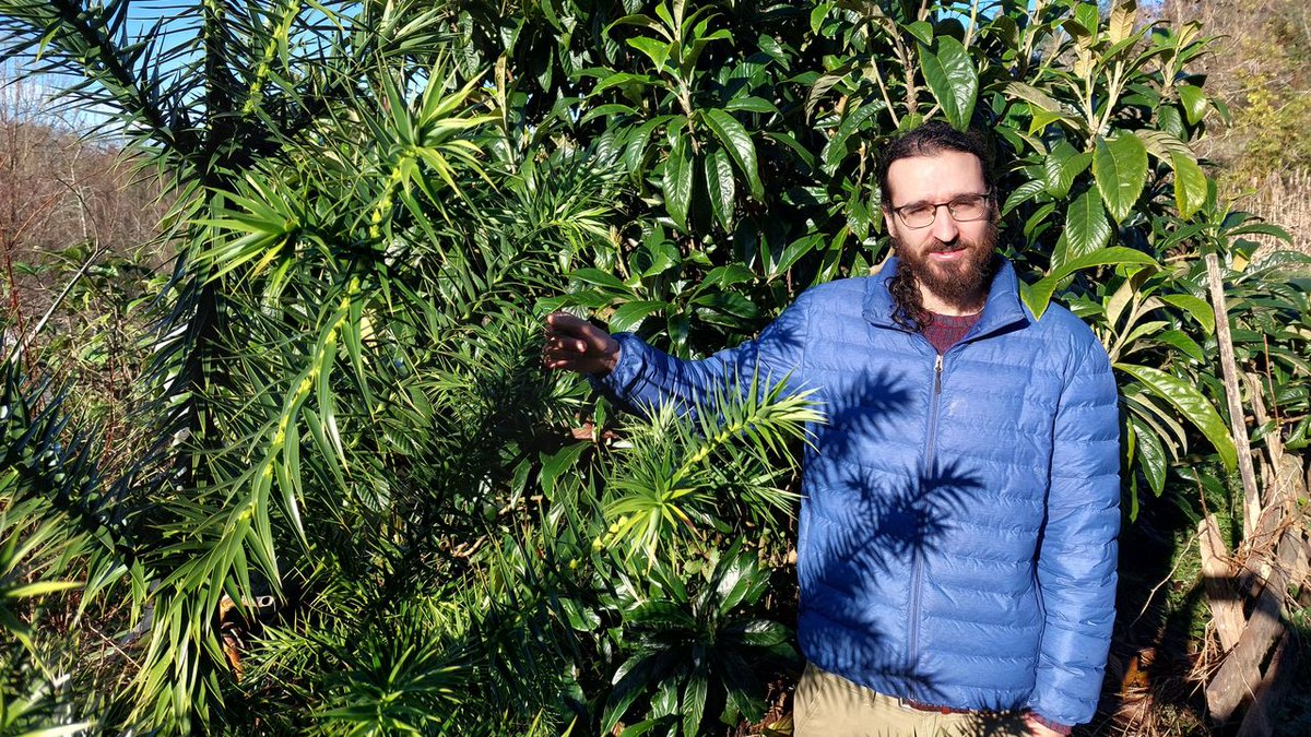 solnascente_eu's tweet photo. Today there was a nice writeup in La Voz de Galicia, telling a part of our story, and giving some much-needed attention to forest gardens. 

https://t.co/X0ZOJw0sDM https://t.co/QILaTbSPjC