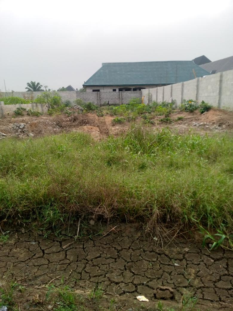 A standard plot of land,at SARZ road after timber market rumuagholu Port Harcourt Rivers State Nigeria,price is 8 million naira only.
Contact-08152736549 or 08185950216 details & inspection.
#realestateportharcourt 
#propertiesinportharcourt 
#RealestateNigeria
#realestatenews