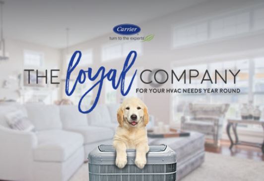 As a company with over 3,000 5-star reviews online, over 60 years in business and background checked uniform wearing technicians you'll always be in good hands! #BELOMAN #HVAC #Plumbing #ArchitecturalMetal  
☎: 618-BELOMAN
💻: beloman.com