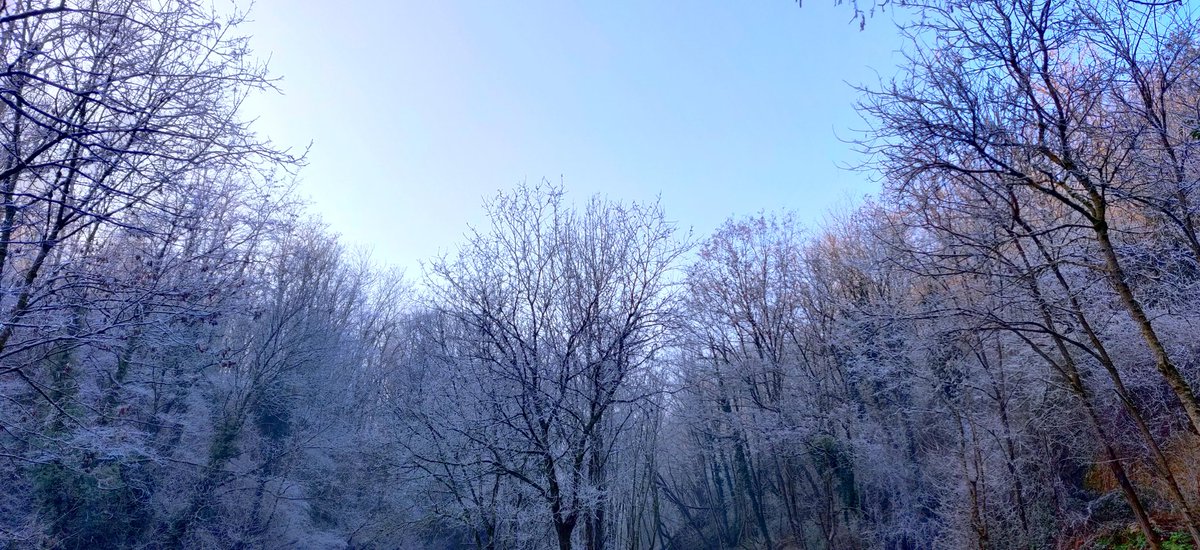 VLaganier's tweet photo. Promenade givrée sur la Côtière de l'Ain

#ain #cotiere #nature #environnement #froid #glace #givre https://t.co/eINS3haKOn