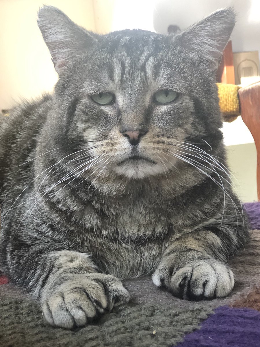 He's still got it, folks ✨