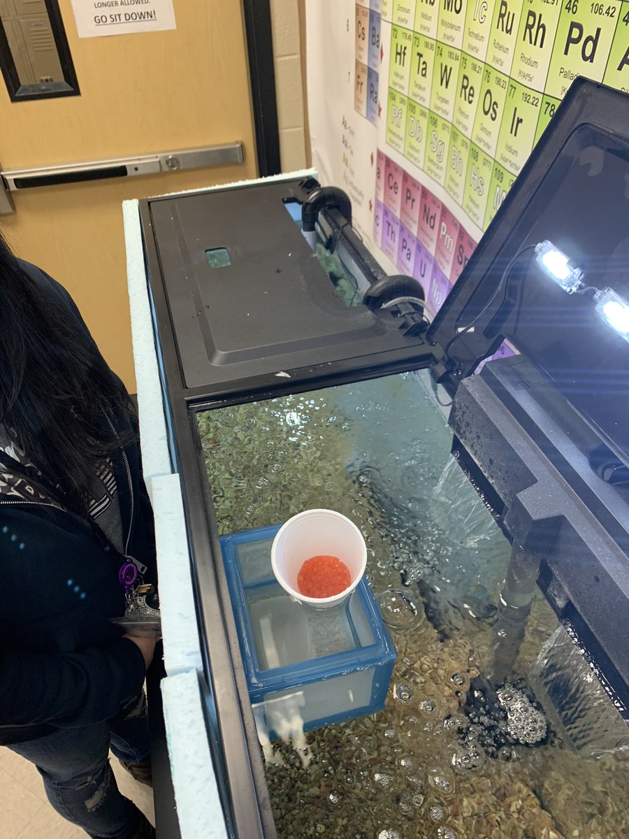 DatSciGuyHarvey's tweet photo. George Ranch aquatic science students are ready to go!! π π #AquaticScience #LCISDscience https://t.co/NnT3ByQJia