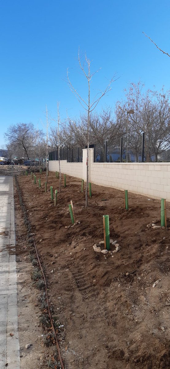 AlcalaVerde1's tweet photo. #MiColeEsVerde una realidad. Gracias a @LIFETerraEurope y @FAPAlcala @AmpaFcaPedraza/ @paloma_martinm @javiRpalacios @enriquenoju @IdiazAyuso @eossoriocrespo @eossoriocrespo @diana_diaz_pozo @JudithPiquet @misoldib @miguelalezcano @magalymto @terehervassg @DavidCoboG https://t.co/PqWnqHhfP6
