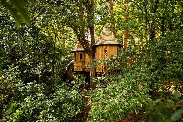 BlueForest_'s tweet photo. A magical castle in the trees doesn't get much better than this! #magicaltreehouse #upinthetrees #treehousedreams #luxurytreehouse #outdooradventures https://t.co/hV7moGokAm