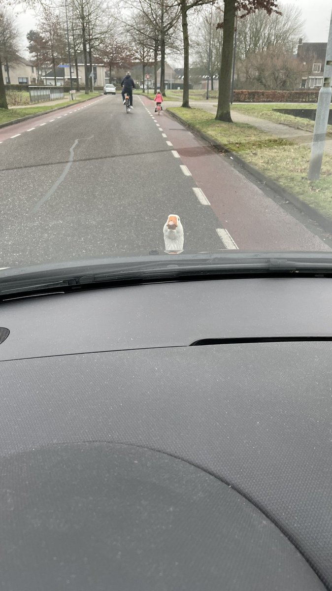 Buurman Gans neemt zijn territoriumdrift zeer serieus