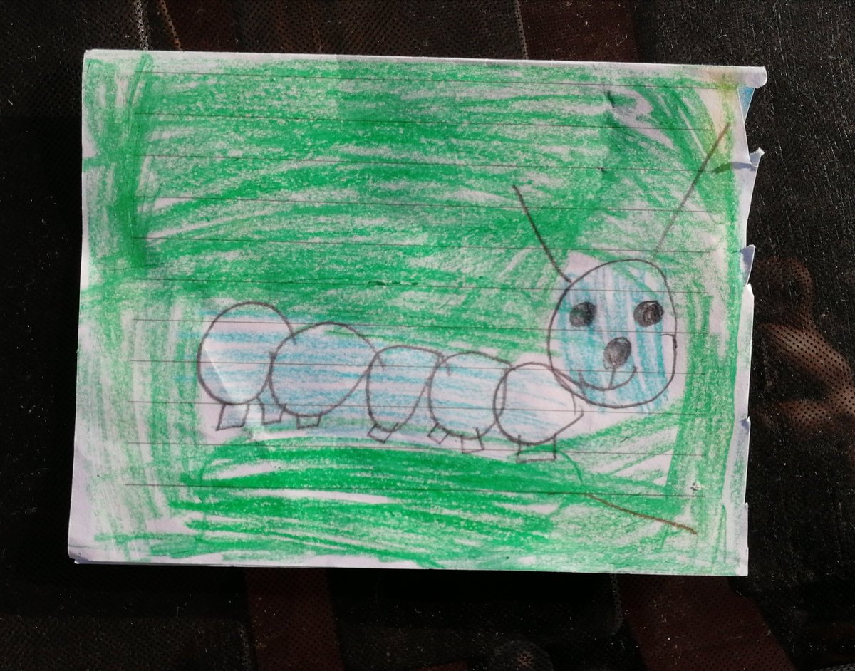 fuspey's tweet photo. Big thanks to my wonderful little artist niece Leah Garvรฃo, what a perfect prezzy to say goodbye. A little caterpillar that opens into a butterfly ๐๐ฆ.. Its got a special place on the #PostcardWall.
Also v fitting for our @Ecolise & @CfF_Communities transformation journey ๐โค๏ธ https://t.co/9XenysxIAX