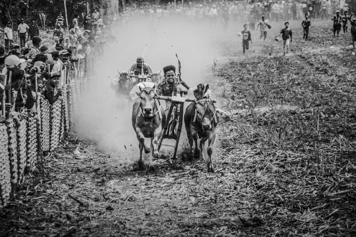 masdimphoto's tweet photo. Check out Race by Dimas Capture at https://t.co/GDBaeGHWYc NFT!
https://t.co/pe4ylRiSOJ
__
#nftinvestor #NFTCommunity  #nftcollectors  #NFTcollection #nftcrypto #nft #opensea #nftartgallery #nftart #nft #nftdrops #nftartwork #nftcollectibles #nftsstories #nftdrop #nftmarketplace https://t.co/0R0y1Ouvjp