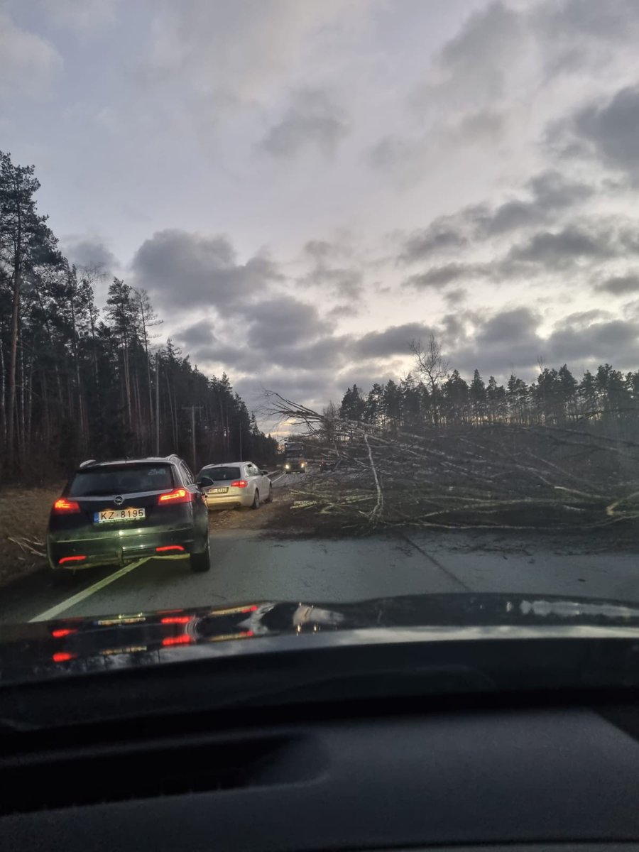 breakinglv's tweet photo. 🇱🇻 Vējš nogāzis koku uz Liepājas šoseju #A9 19. km #Valgunde #Latvija (netālu no Ložmetējkalna).
📸 aculiecinieka foto https://t.co/JiwdCVs38q