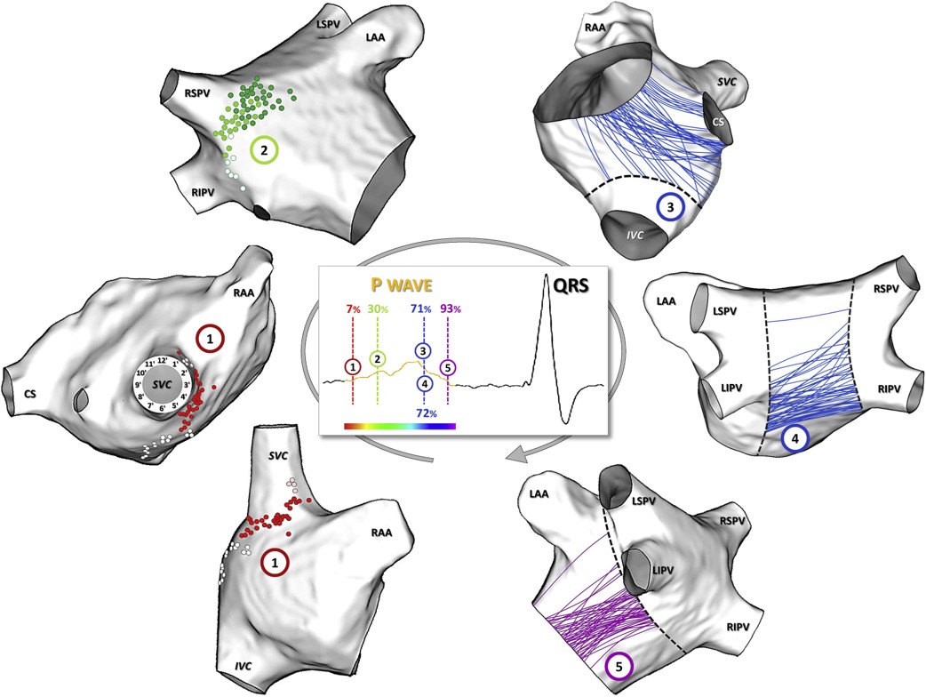 Philipp Krisai tweet media