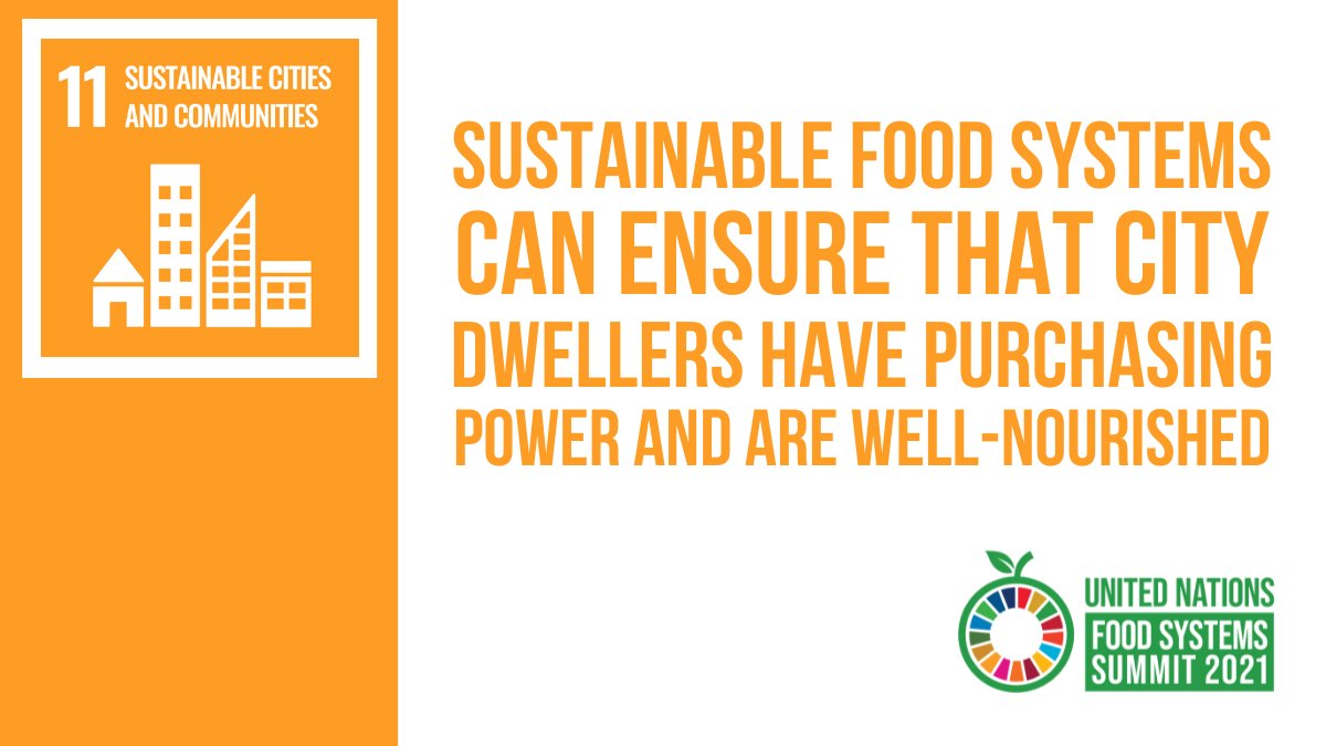 Sustainable food systems can ensure the city dwellers have purchasing power and are well nourished