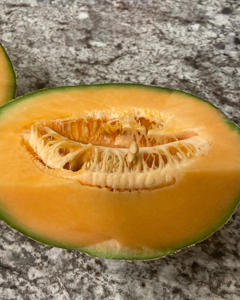 FarmersChoiceUS's tweet photo. #Cantaloupes #FarmersChoiceUSA https://t.co/xuvE2Gl9Xl