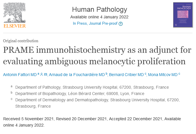 Human_Pathology's tweet photo. #HumPathol #Dermpath #PRAME #Melanoma
Fattori et al. show that when used carefully, PRAME IHC shows high sensitivity/specificity for distinguishing malignant challenging melanocytic proliferations from benign ones and could be used as an everyday tool
https://t.co/m4GWIf3opO https://t.co/YW6VrAznoD