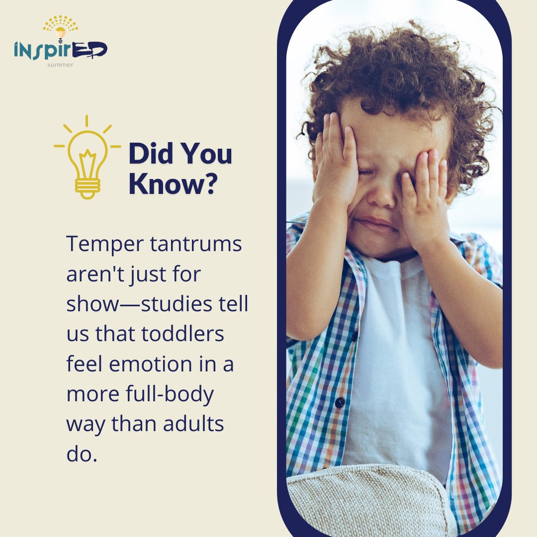 InspiredSummer's tweet photo. #DidYouKnow kids feel emotion differently than we do? 🤔 

Temper tantrums aren't just for show—studies tell us that toddlers feel emotion in a more full-body way than adults do.
(Source: Kid City USA)

#tantrum #tempertantrum #emotions https://t.co/b6ukzCgKal