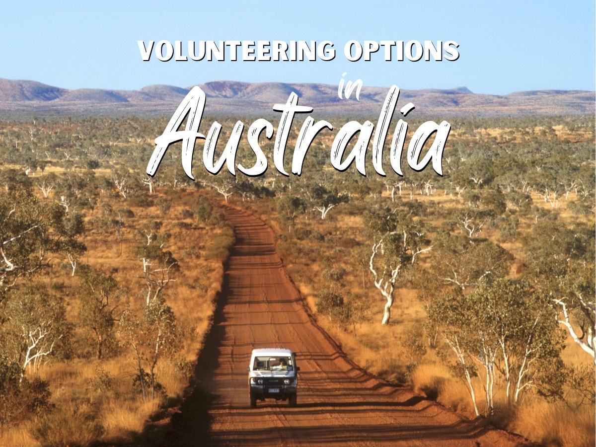 Australia is one of the most exciting volunteering destinations, so check out our post with options in Sydney, Perth, Cairns and more. Which city do you want to visit first?

helpstay.com/journal/volunt…