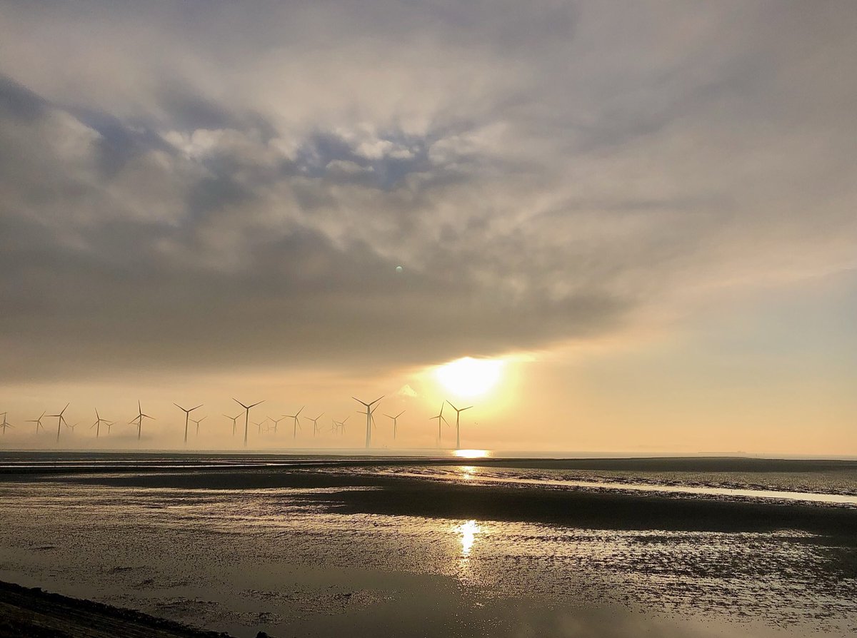 Morgenstond #werkplek #gesprekswandeling #Grevelingendam