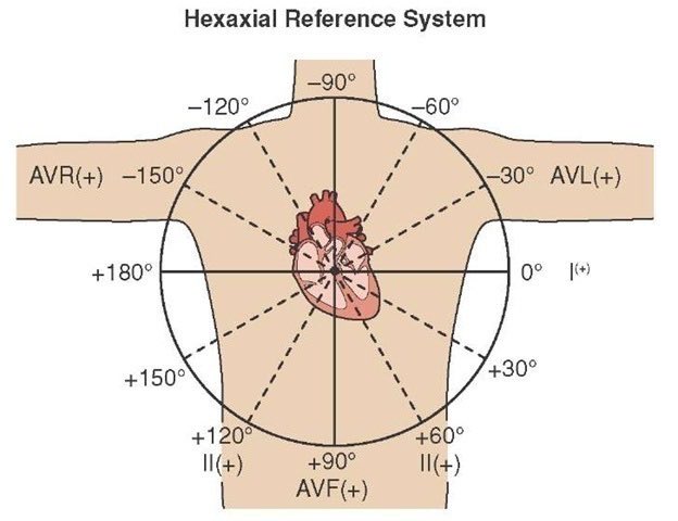 Harvard referencing. Inertial navigation system. Computerized imaging reference systems лого. Reference systems. Фреймы референс.