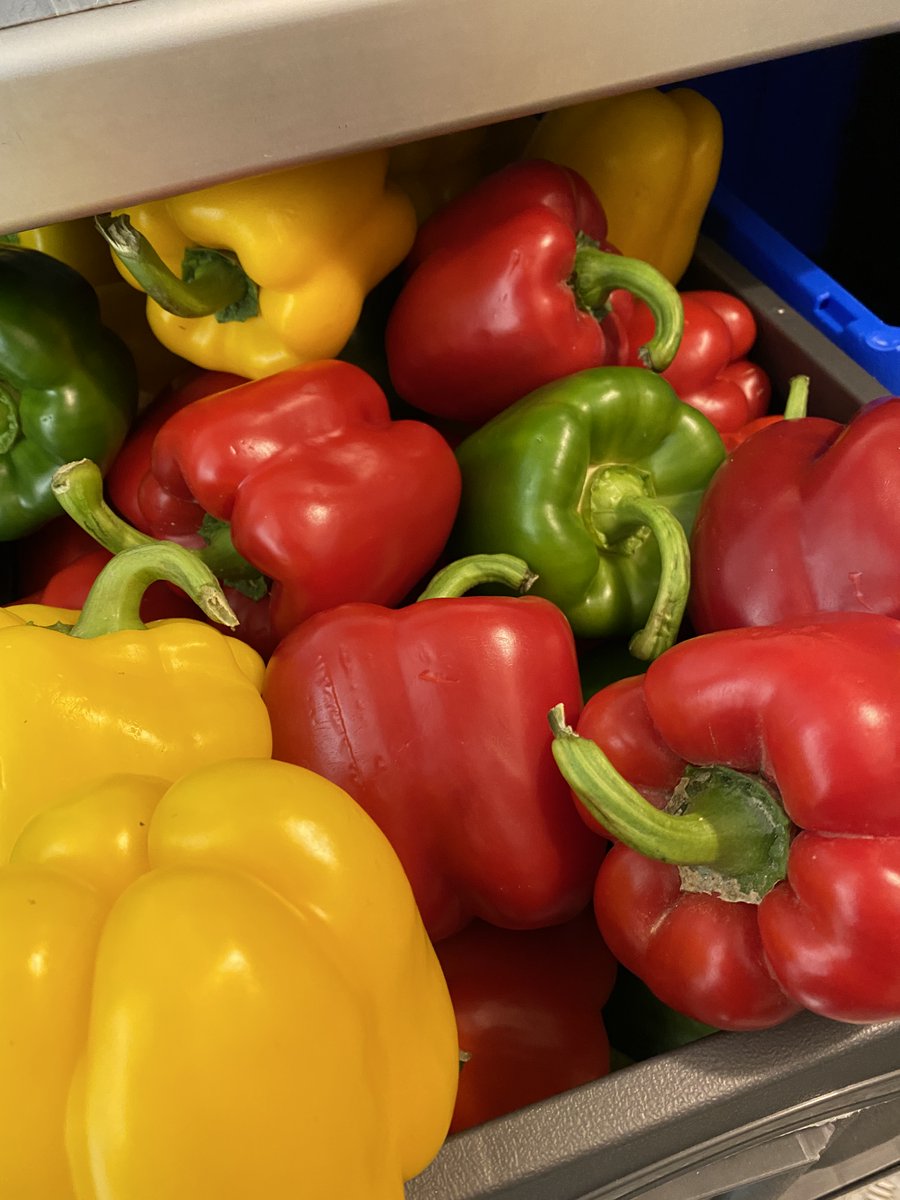 Andrew Sullivan tweet media