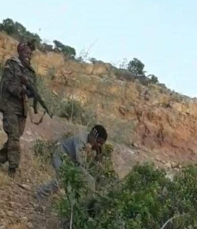 This new picture shows #ENDF massacring Tigrayans at #MahbereDego, one of the 260+ massacre sites in #Tigray. 
He was just a boy! 💔💔💔 #TigrayGenocide