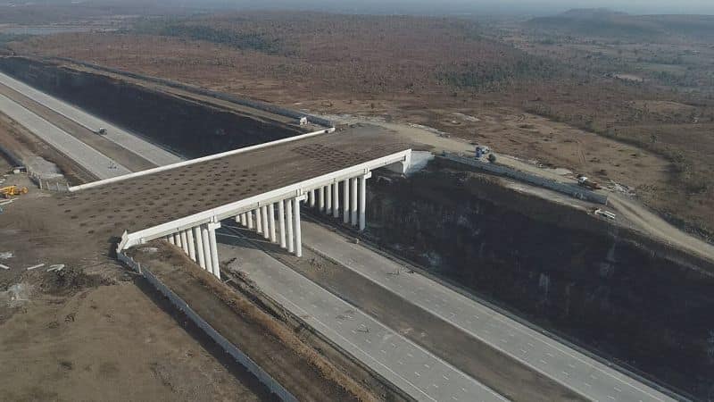 IamTreepathi's tweet photo. #MumbaiNagpurExpressway
Thank you @nitin_gadkari ji. We want more such #Animal #Overpasses
Pkg 2 Wardha-Afcons
Animal overpass. one can see soil on top of it where small trees will be planted, it will be quite a sight once it turns green.
©️ Vaibhav Sachan https://t.co/stZnYybeqQ